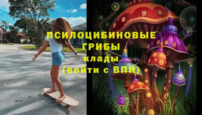 Галлюциногенные грибы Magic Shrooms Лагань